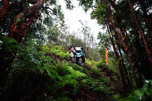 BIB: 
                            <button type="button" onclick="openModal(26203890)" class="btn btn-primary btn-sm float-right btn-popup" data-toggle="modal" data-target=".modal-high-quality">
                        <i class="fas fa-shopping-cart"></i> Add to Cart
                    </button>
                                            <button type="button" onclick="isThisMe(26203890, true)" class="btn btn-success btn-sm float-right btn-popup btn-isme hidden" data-toggle="tooltip" data-placement="bottom" title="นี่คือรูปของคุณใช่ไหม คลิกที่นี่เพื่อเอาเข้าอัลบั้ม">
                        <i class="fas fa-plus"></i> Add to album
                    </button>
                    <button type="button" onclick="isThisMe(26203890, false)" class="btn btn-warning btn-sm float-right btn-popup btn-isnotme hidden">
                        <i class="fas fa-ban"></i> Remove from album
                    </button>